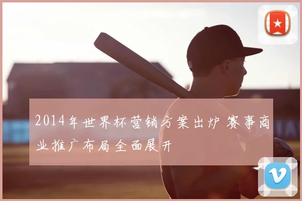 2014年世界杯营销方案出炉 赛事商业推广布局全面展开