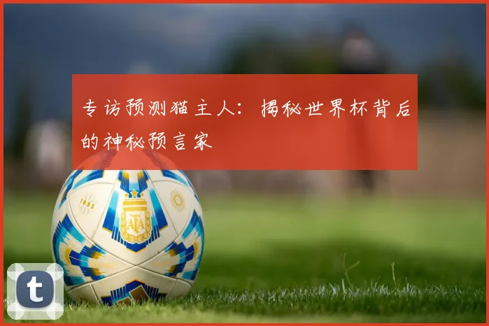 专访预测猫主人:揭秘世界杯背后的神秘预言家