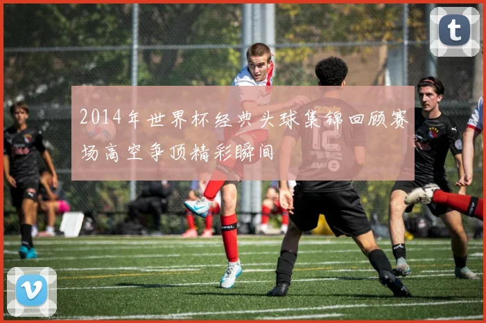 2014年世界杯经典头球集锦回顾赛场高空争顶精彩瞬间